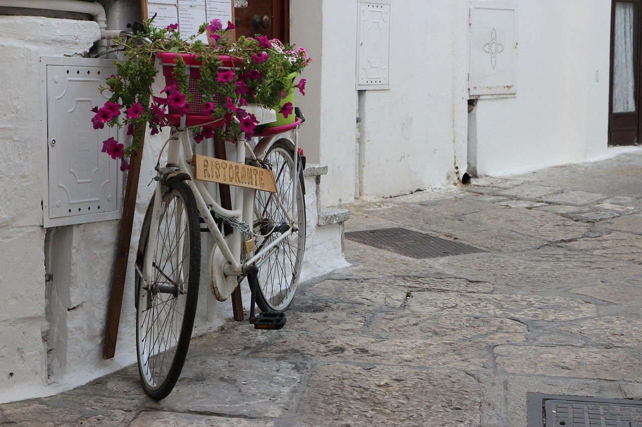 Vale la pena acquistare l'X-Bike Plus? La verità sulle cyclette pieghevoli [Guida Pratica]